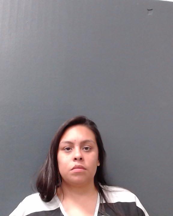 GONZALEZ, DAWN MARIE booking photo