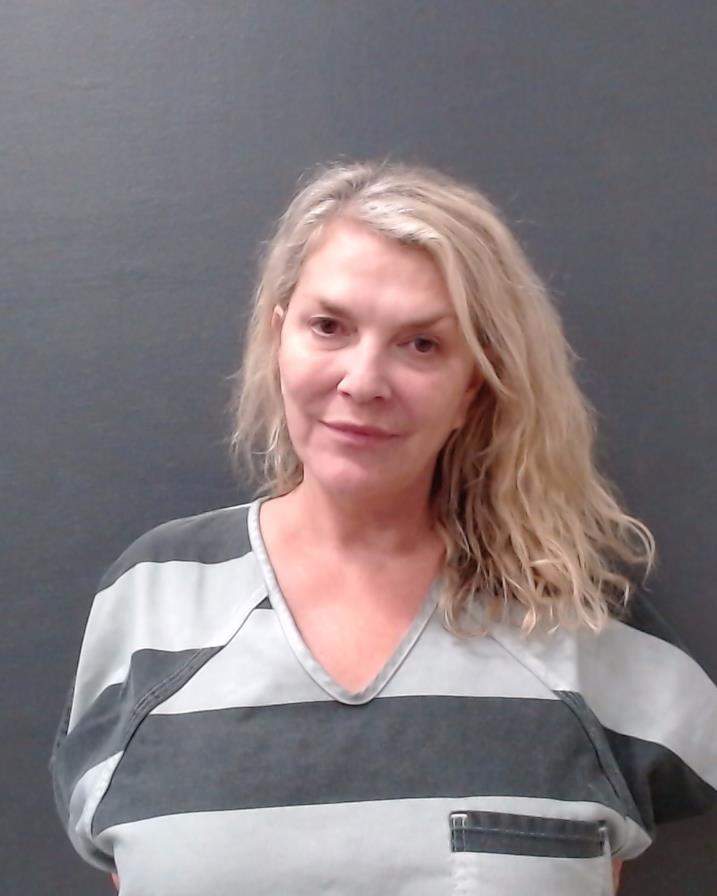 JOHNSON, SHERRY EILEEN booking photo