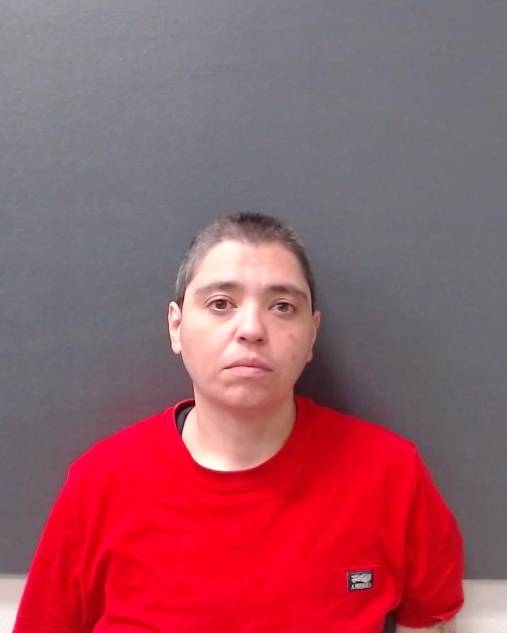 DIAZ, ASHLEY MARIE booking photo