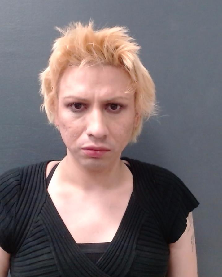 DIAZ, NDEMERICH YOSHI booking photo