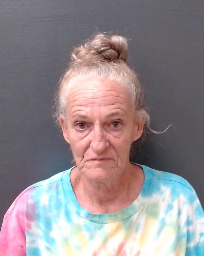 DEVRIES, LINDA LANE booking photo