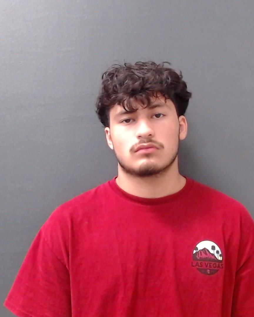 WISE, ANDREW TYLER booking photo