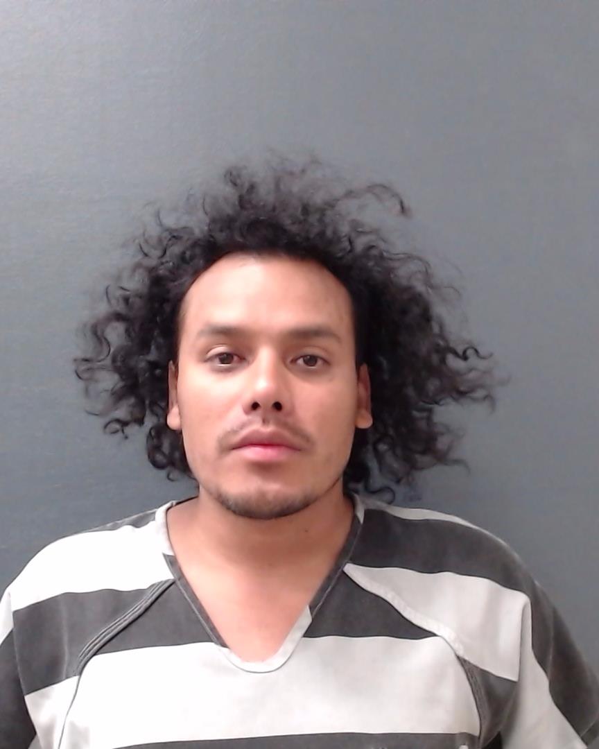 CARDENAS, RICARDO SEBASTIAN booking photo