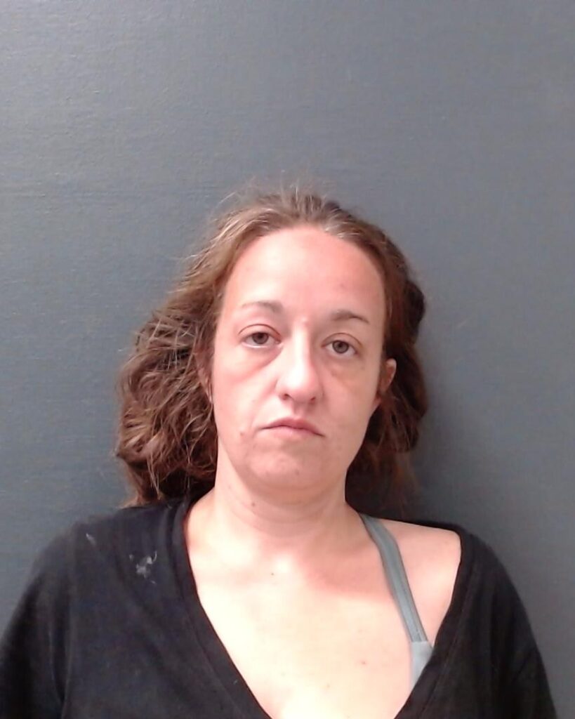 YOUNG, MEGAN LINDSEY arrested in Comal County, Texas mugshot