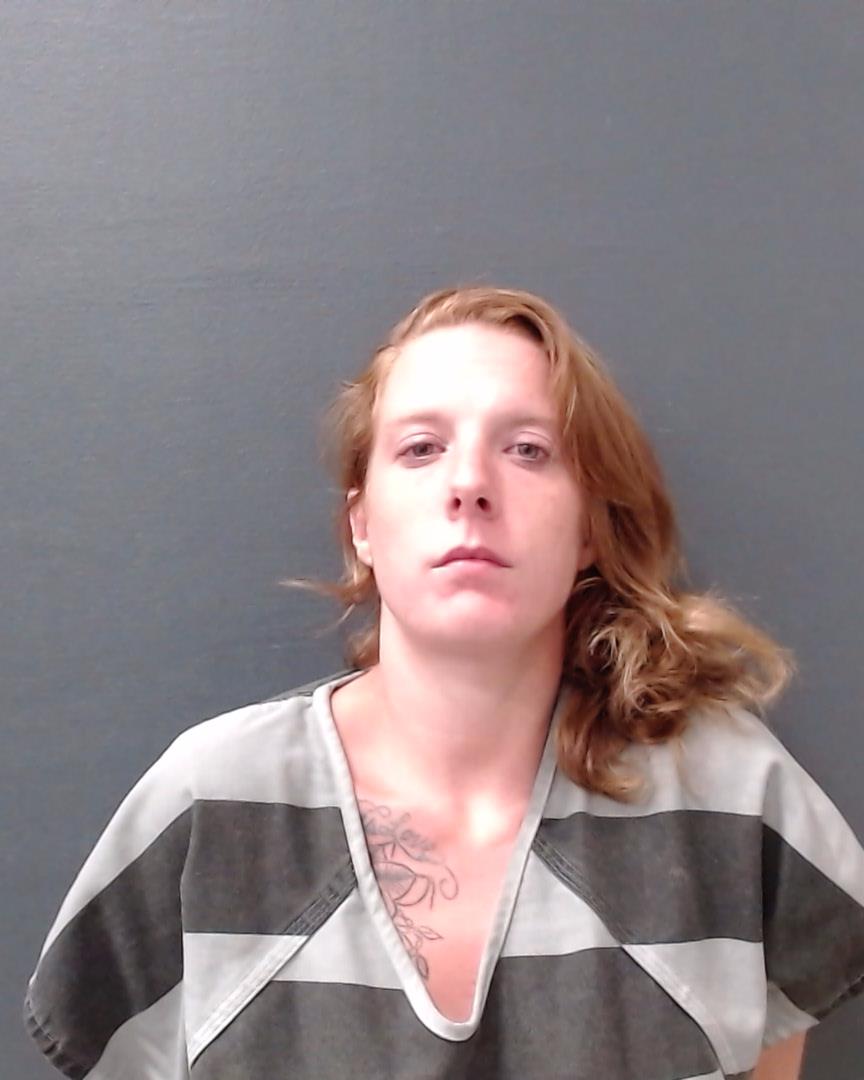 BRANDT, KRISTI MARIE booking photo