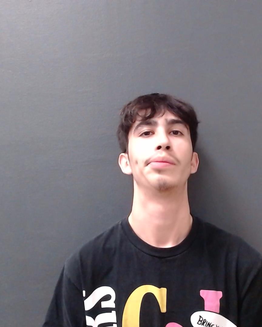 DE LA PENA, JAEL booking photo