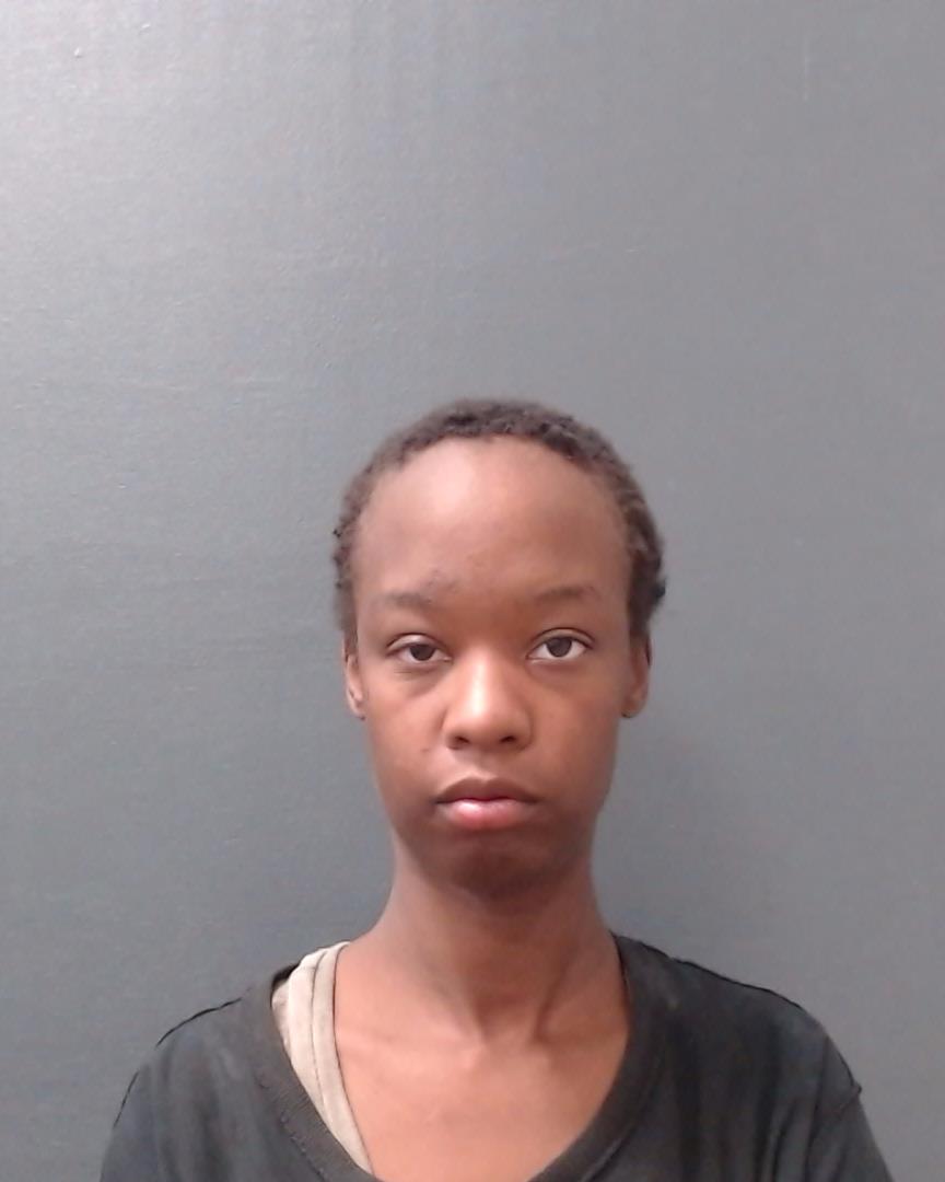 PINKSTON, KELLY ALEXANDRIA booking photo
