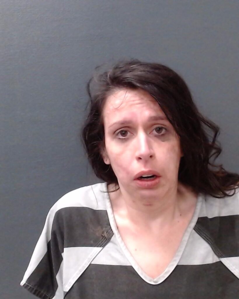 SAWICKI, KATHRYN ANN arrested in Comal County, Texas mugshot