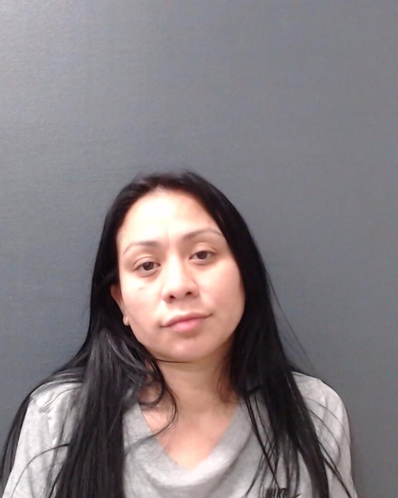 CASTILLO, ANNA MARIE arrested in Comal County, Texas mugshot