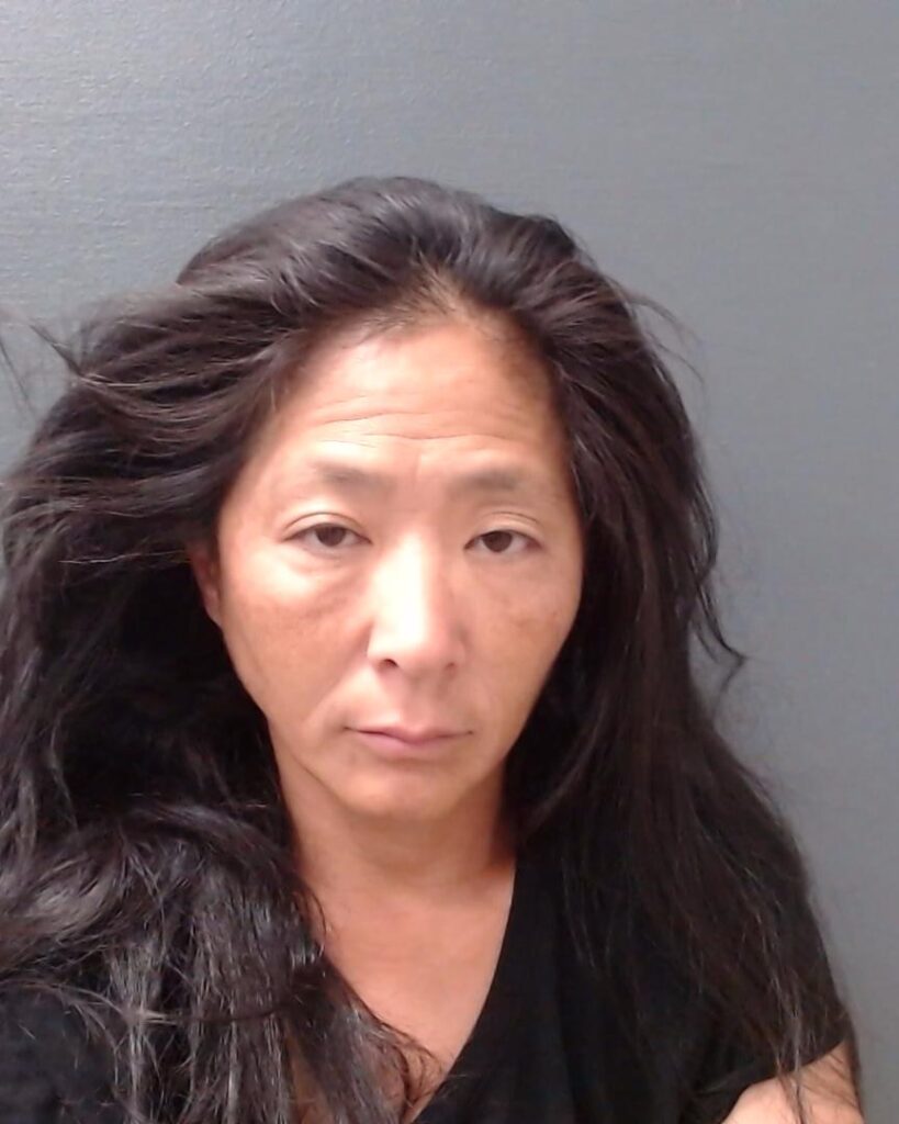 ROBINSON, BRANDY LEIGH arrested in Comal County, Texas mugshot