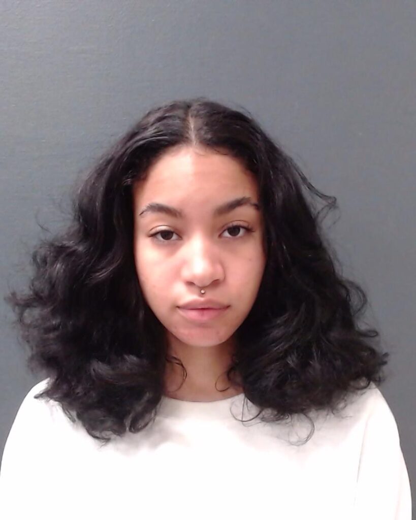 LE GAUX, NICOLE RENEE arrested in Comal County, Texas mugshot