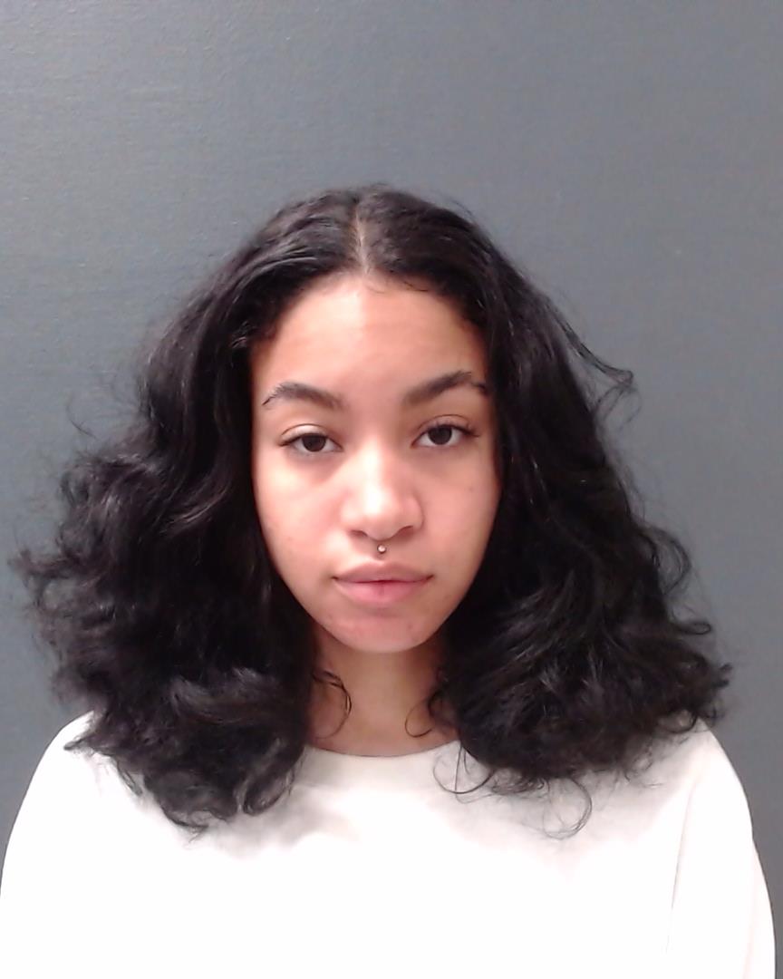 LE GAUX, NICOLE RENEE booking photo