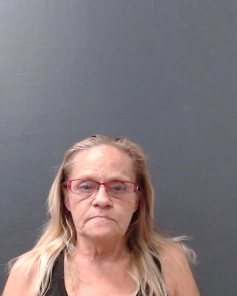 COLLINI, ALETHA JANE arrest record in Comal County, Texas COLLINI, ALETHA JANE arrested in Comal County, Texas mugshot