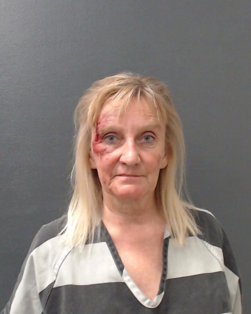 COOK, KRISTA LYNN arrested in Comal County, Texas mugshot