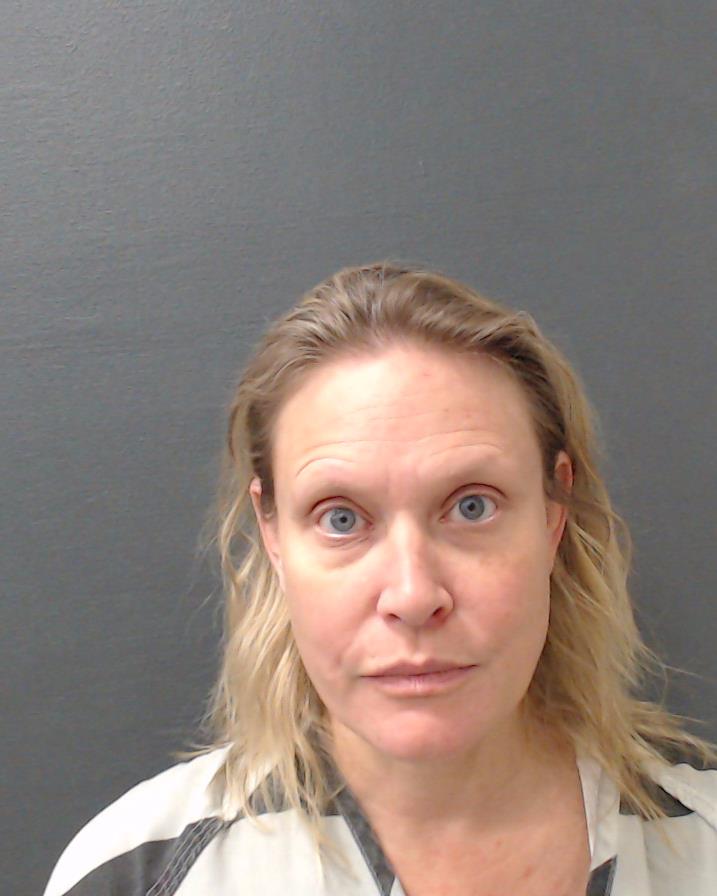 PERKINS, ALLISON LEIGH booking photo