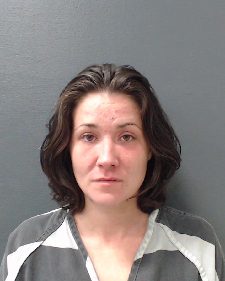 DAVIS, BRANDY DALENE booking photo