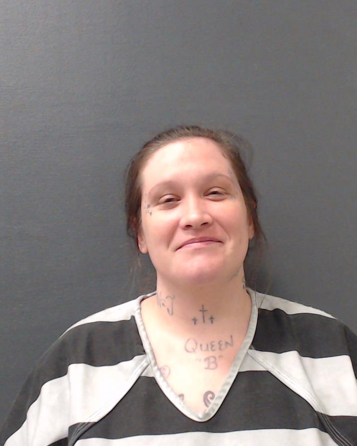 HOLLIS-FARAKLAS, BRANDI DANIELLE booking photo