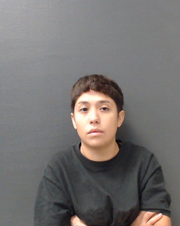 DIAZ GALICIA, ANA LAURA booking photo