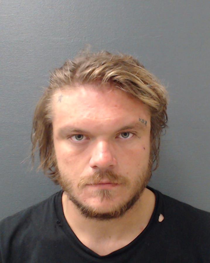 RIEMENSCHNEIDER, CHARLES CAMERON booking photo