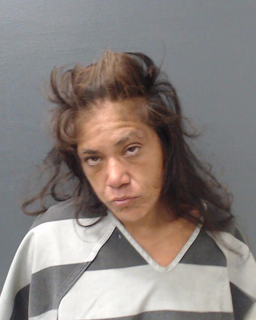 DIXON, VERONICA SUE arrested in Comal County, Texas mugshot
