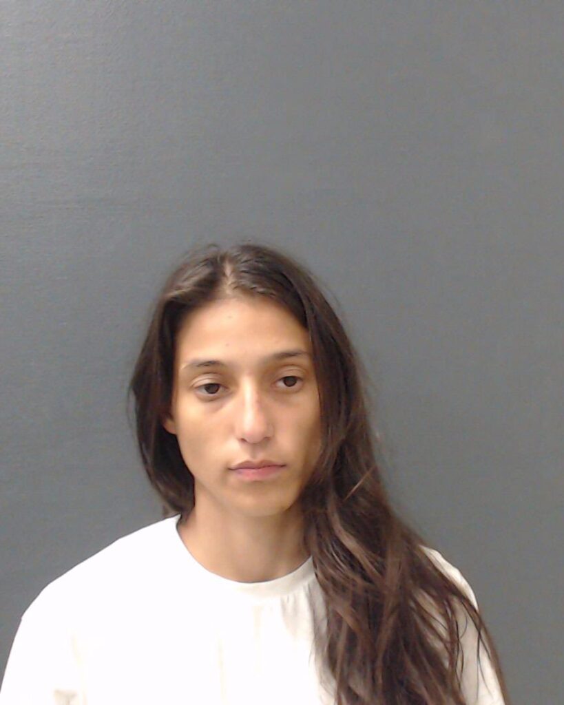 CHAPMAN, SERINA NIKOLE arrested in Comal County, Texas mugshot
