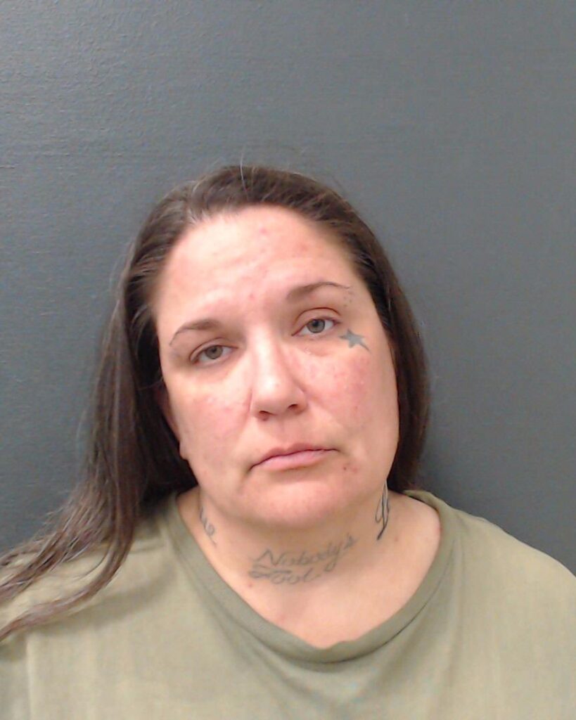 BROWN, KRISTIN IDA arrest record in Comal County, Texas BROWN, KRISTIN IDA arrested in Comal County, Texas mugshot
