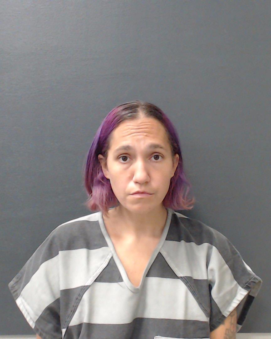 Webster, Mindy booking photo