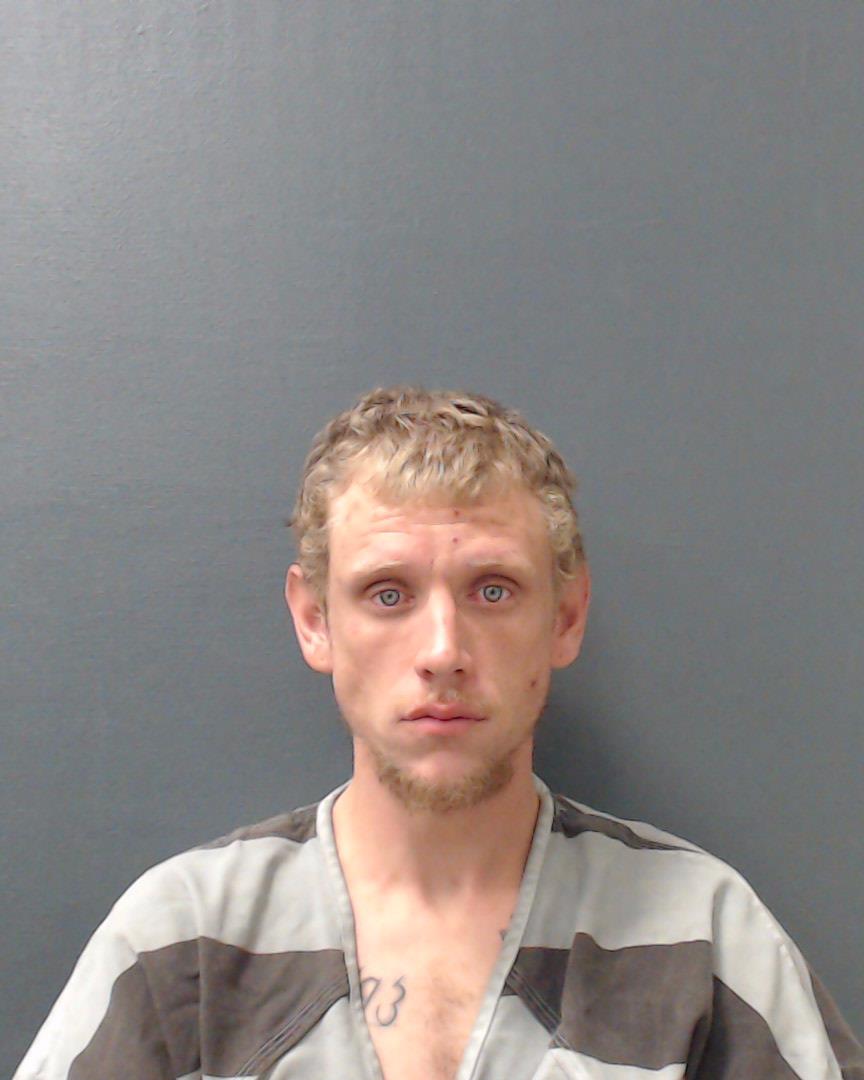 BLEEKER, BRANDON LEVI booking photo