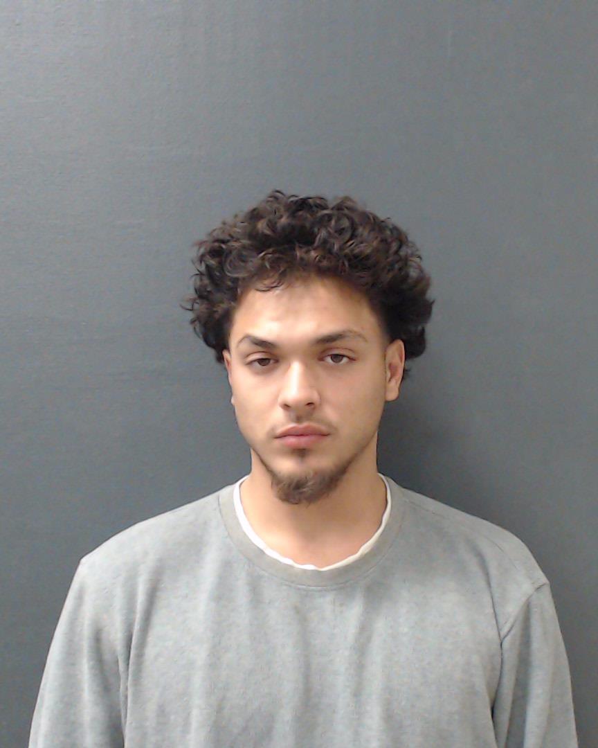 WILL, TIMOTHY ANSEL booking photo
