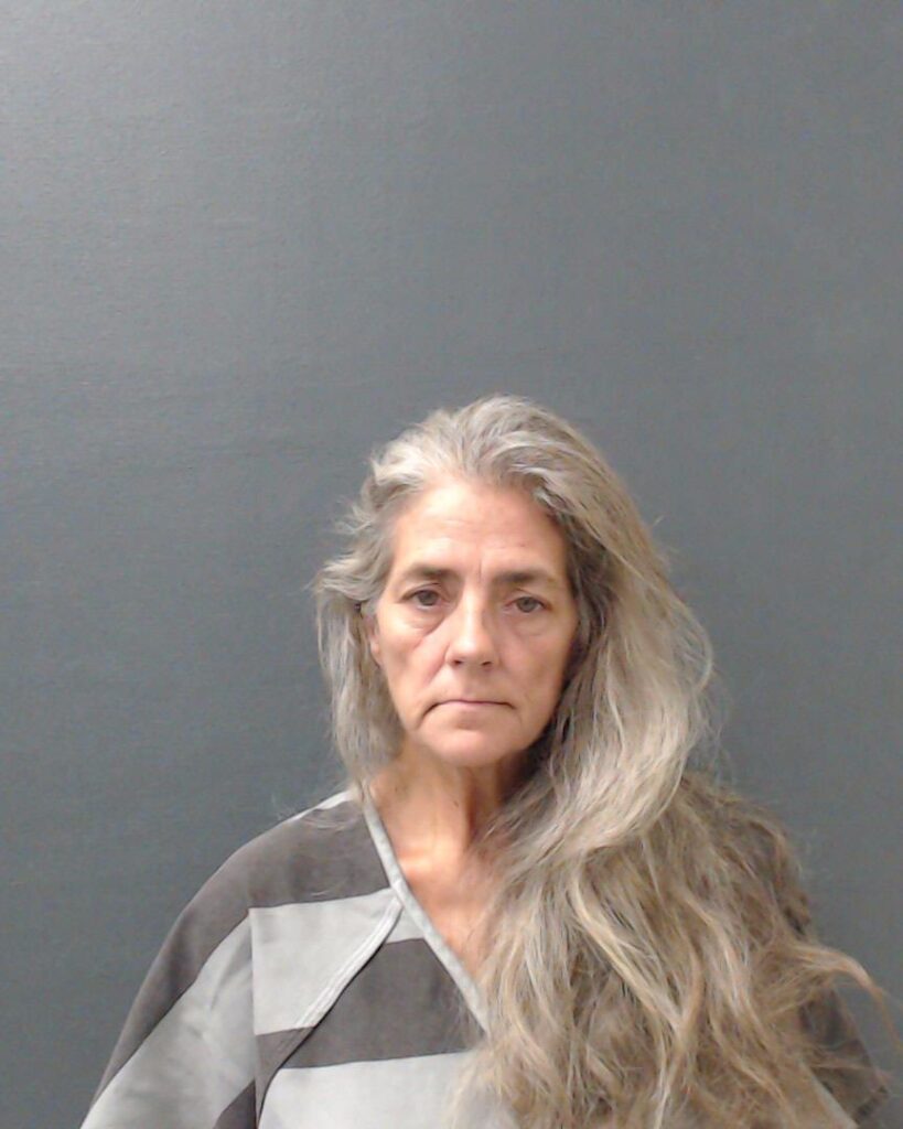 TAYLOR, SUSAN DAWN arrested in Comal County, Texas mugshot