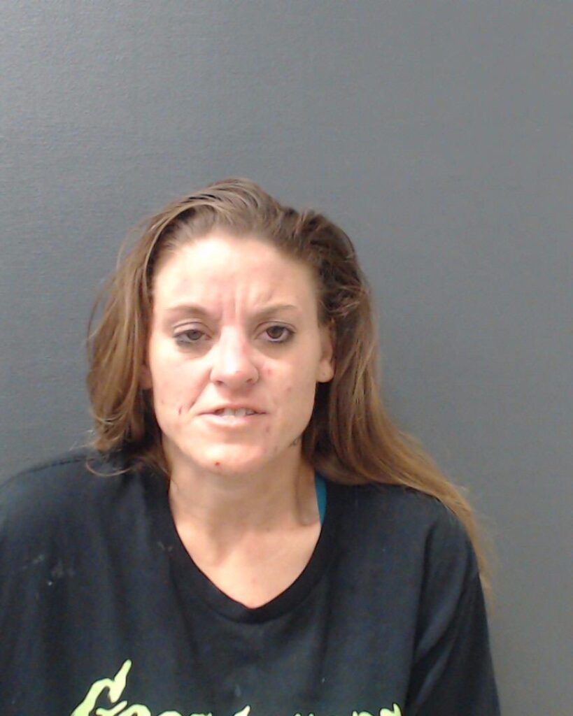 MCKINNEY, AMANDA MAY arrested in Comal County, Texas mugshot