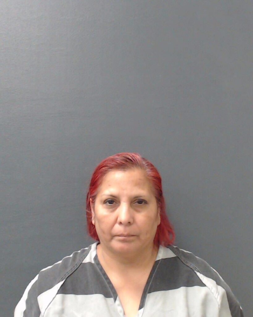 GARZA, PAULA CAMPOS arrested in Comal County, Texas mugshot