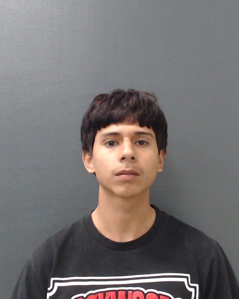 LUNA, MICHAEL AVERY arrest record in Comal County, Texas LUNA, MICHAEL AVERY arrested in Comal County, Texas mugshot