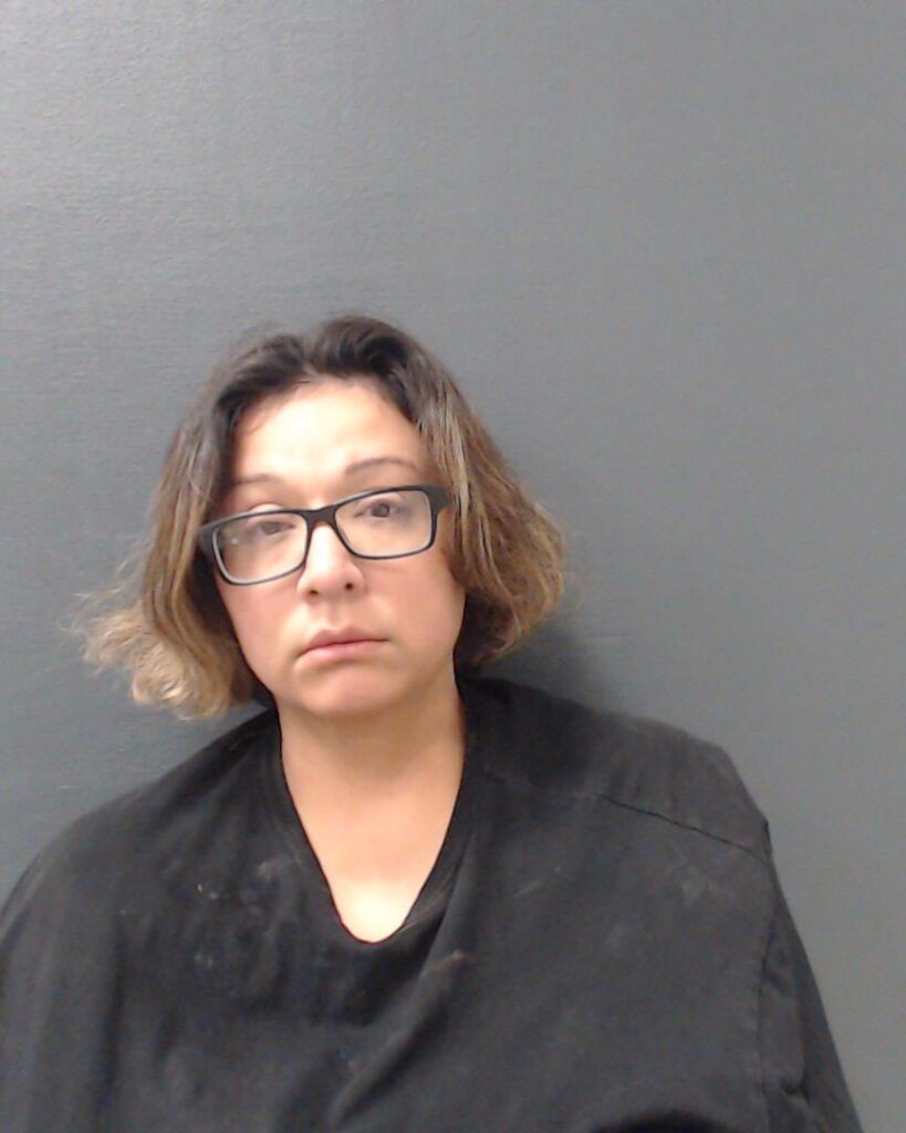 HERNANDEZ, MONIKA RENEE arrested in Comal County, Texas mugshot