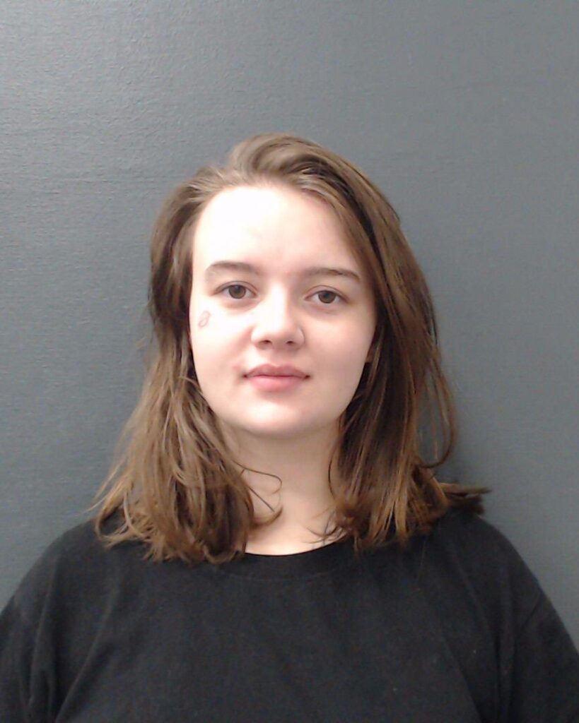 WILLIS, KEELEY SKY arrest record in Comal County, Texas WILLIS, KEELEY SKY arrested in Comal County, Texas mugshot