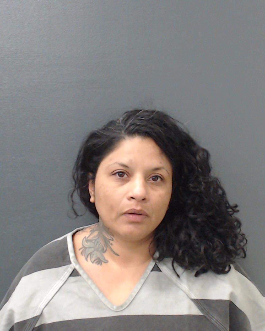 CASTILLO, CHRISTINA VARGAS booking photo