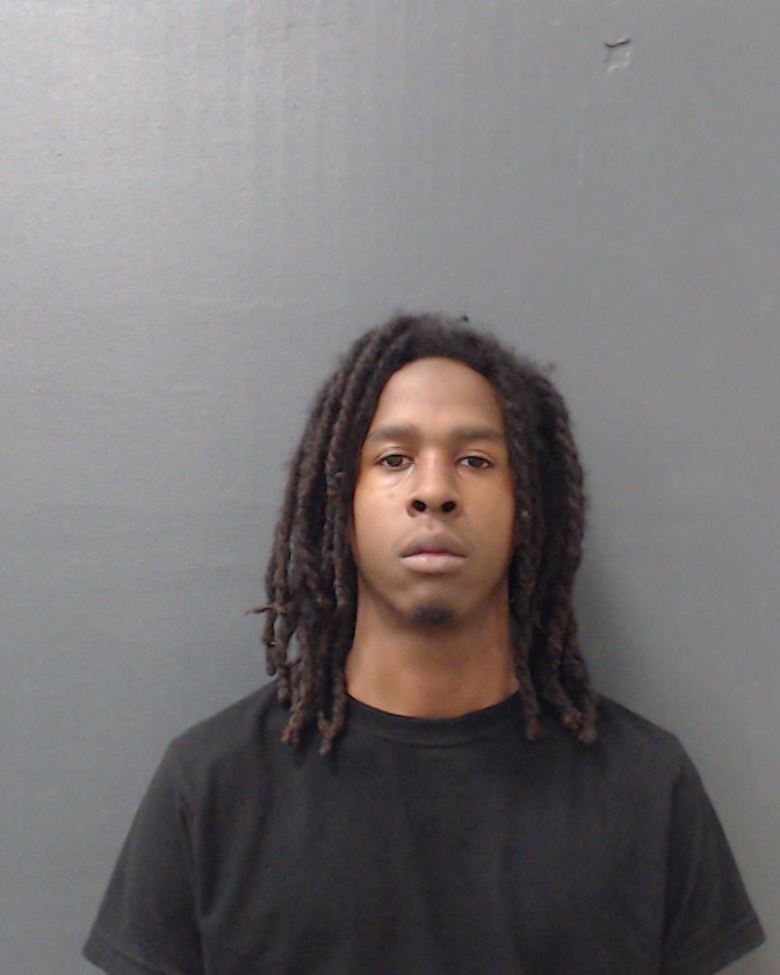 PALMER, ION NICHOLAS booking photo