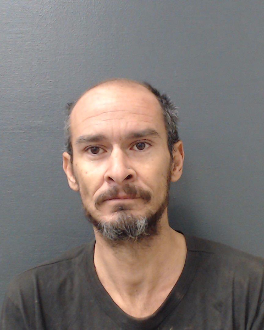 SALAS, DAVID ALAN, Jr. booking photo