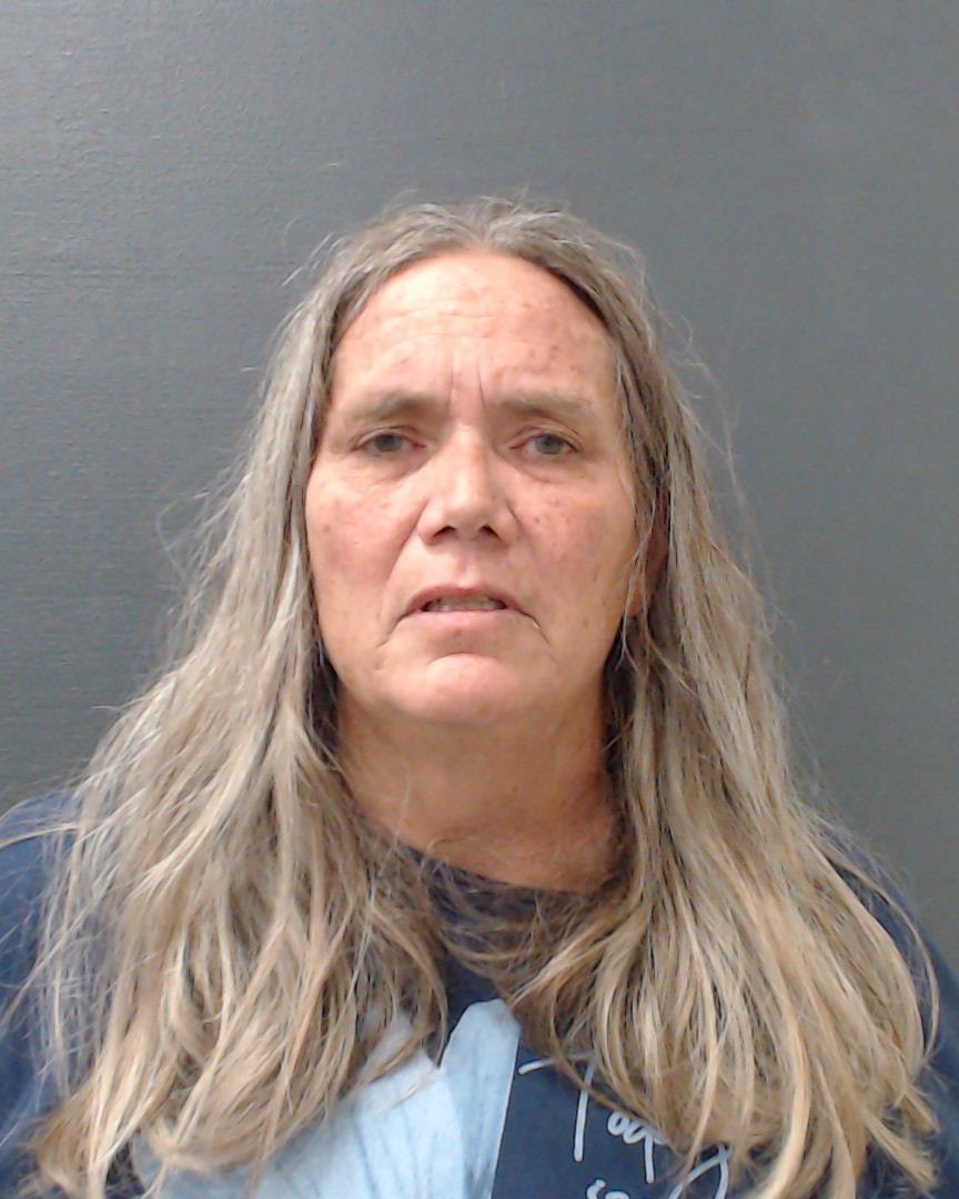 JOHNSON, MELINDA MICHELLE booking photo