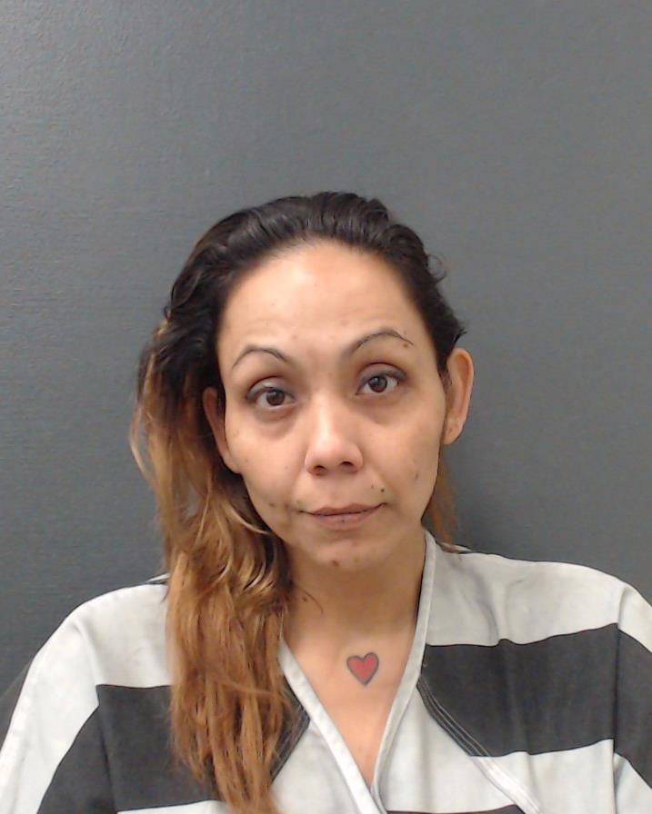 APOLINAR, SANDY booking photo