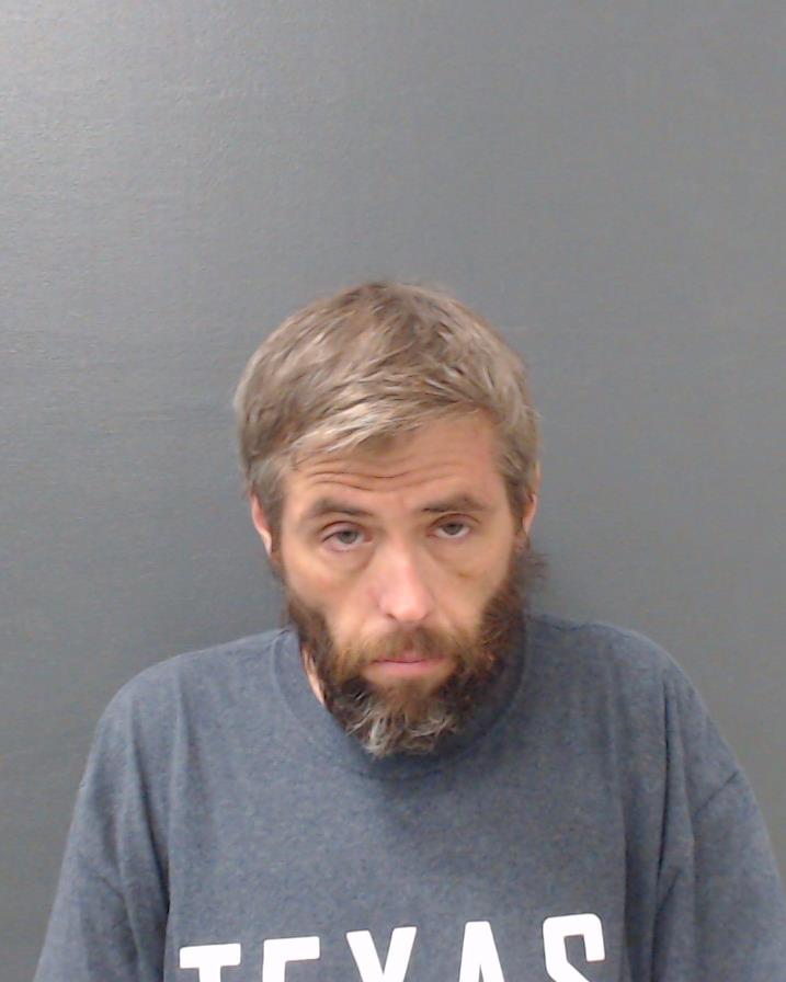 WILSON, BRIAN LEE booking photo