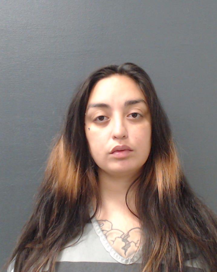 PEREZ, DOMINIQUE ISABEL booking photo
