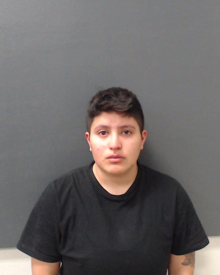 RAMIREZ, TONI ARIANNA booking photo