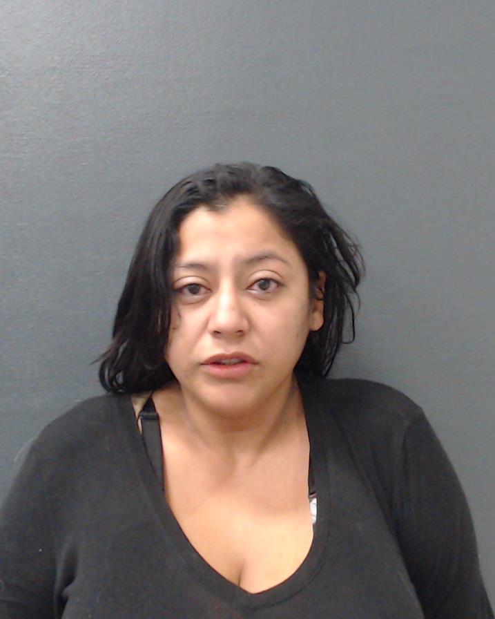 VILLAREAL, VALERIA booking photo