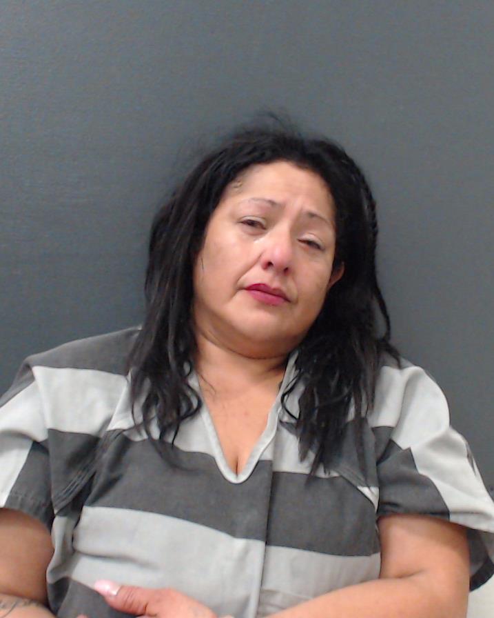 CASTILLO-ALFARO, VERONICA L booking photo