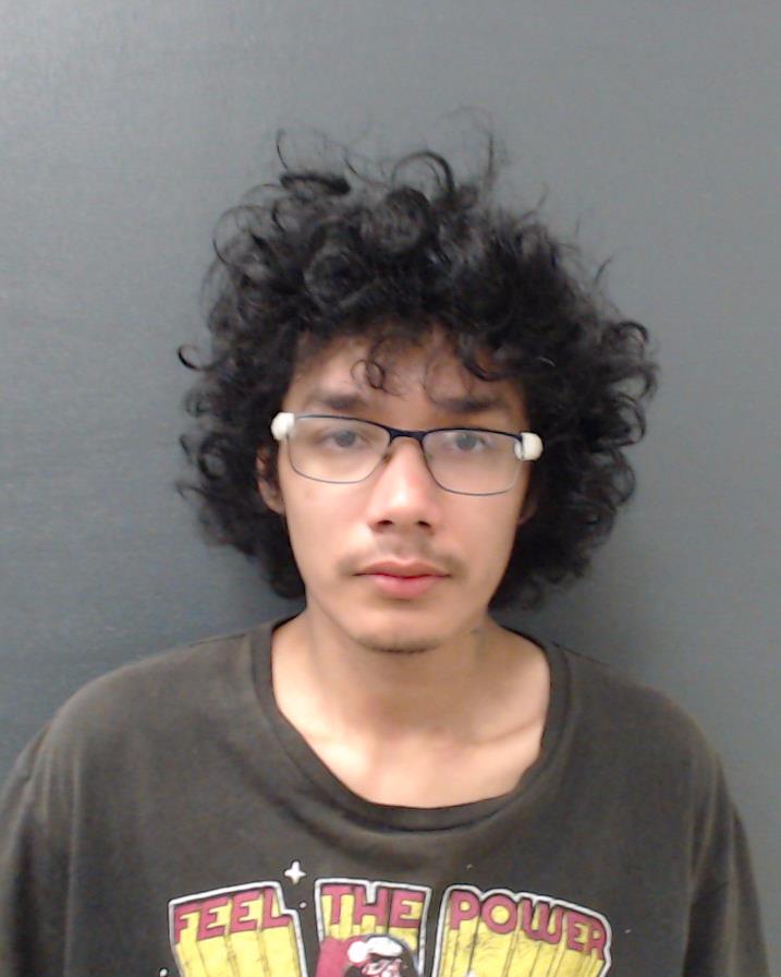 ROSALES, VINCENT AARON booking photo
