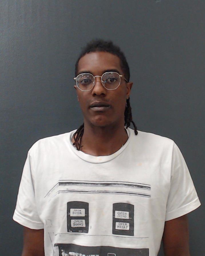 LIPPMAN, JORDAN MATTHEW booking photo