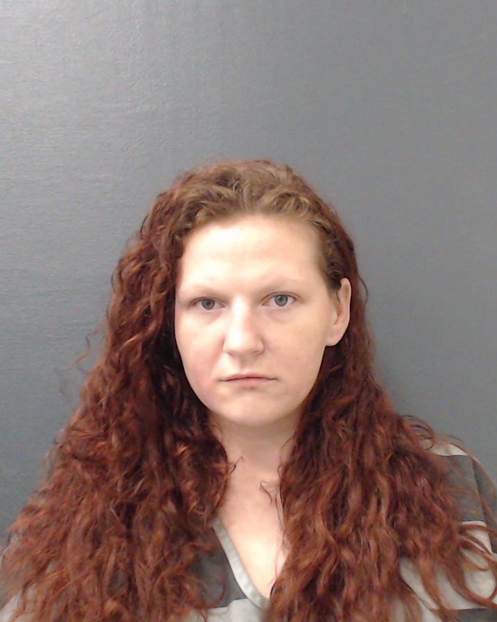 DELEGRAM, TARA LYNN booking photo