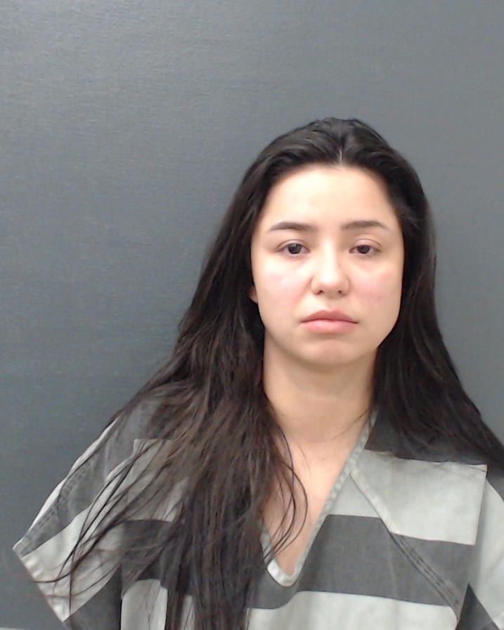 VILLARRUEL-DOMINGUEZ, LUISA ISABEL booking photo