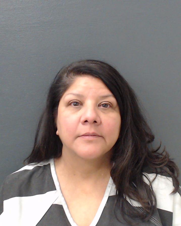 JOHNSON, KAREN ABUNDIS booking photo